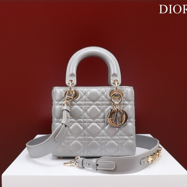 chr1st1an D10r my lady bags